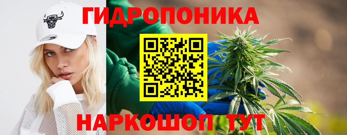 Конопля Ganja Сосновый Бор